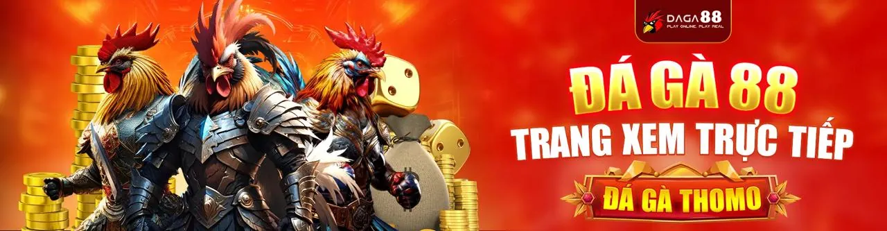 Cá cược có trách nhiệm tại 2bong88