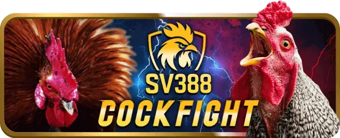 Cá cược eSports tại 2bong88